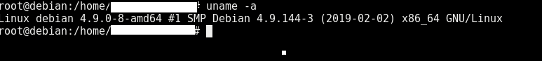 Linux Server