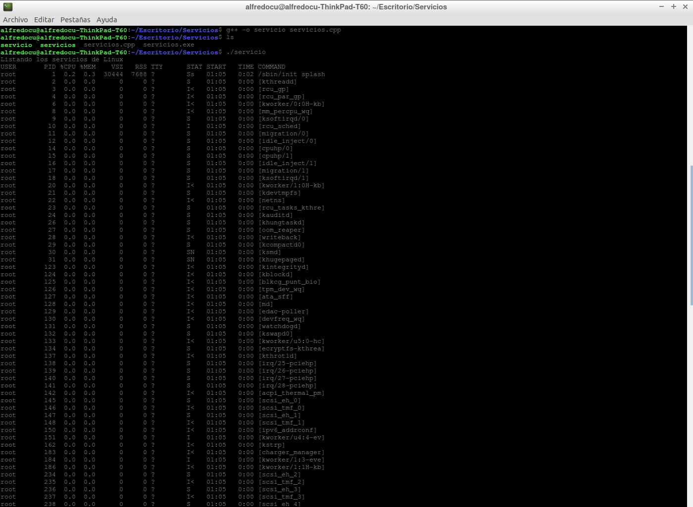 Prueba en Linux del programa.