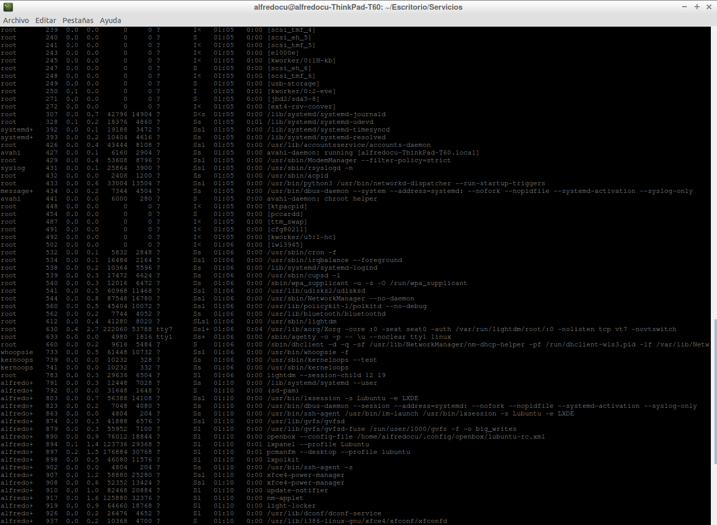 Prueba en Linux del programa.